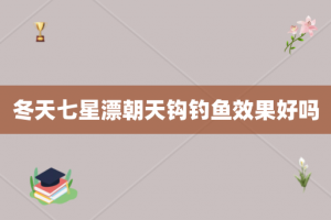冬天七星漂朝天钩钓鱼效果好吗