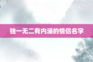 独一无二有内涵的情侣名字