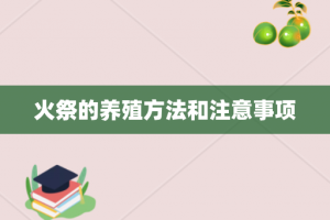 火祭的养殖方法和注意事项