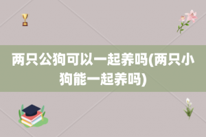 两只公狗可以一起养吗(两只小狗能一起养吗)