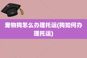 宠物狗怎么办理托运(狗如何办理托运)