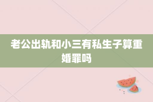 老公出轨和小三有私生子算重婚罪吗