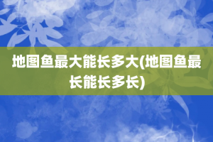 地图鱼最大能长多大(地图鱼最长能长多长)