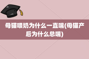 母猫喂奶为什么一直喘(母猫产后为什么总喘)