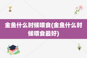 金鱼什么时候喂食(金鱼什么时候喂食最好)