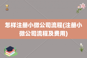 怎样注册小微公司流程(注册小微公司流程及费用)