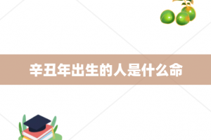 辛丑年出生的人是什么命