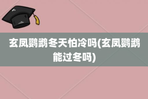 玄凤鹦鹉冬天怕冷吗(玄凤鹦鹉能过冬吗)