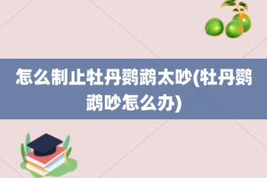 怎么制止牡丹鹦鹉太吵(牡丹鹦鹉吵怎么办)