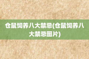 仓鼠饲养八大禁忌(仓鼠饲养八大禁忌图片)