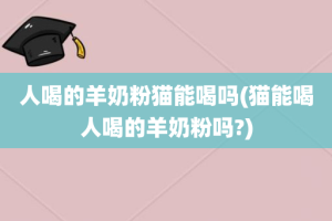人喝的羊奶粉猫能喝吗(猫能喝人喝的羊奶粉吗?)