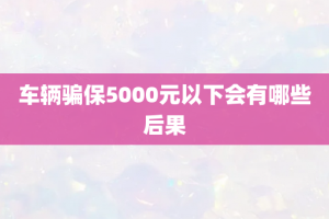 车辆骗保5000元以下会有哪些后果