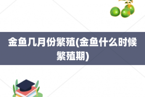 金鱼几月份繁殖(金鱼什么时候繁殖期)