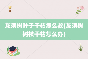 龙须树叶子干枯怎么救(龙须树树枝干枯怎么办)