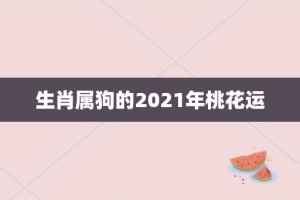 生肖属狗的2021年桃花运
