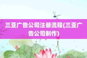 三亚广告公司注册流程(三亚广告公司制作)