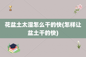 花盆土太湿怎么干的快(怎样让盆土干的快)