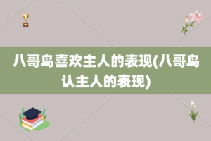 八哥鸟喜欢主人的表现(八哥鸟认主人的表现)