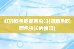 红鹦鹉鱼吃面包虫吗(鹦鹉鱼吃面包虫长的快吗)