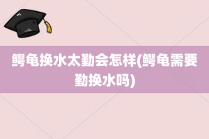 鳄龟换水太勤会怎样(鳄龟需要勤换水吗)