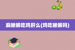 麻蜥蜴吃鸡肝么(鸡吃蜥蜴吗)