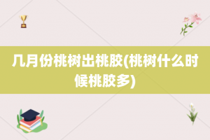 几月份桃树出桃胶(桃树什么时候桃胶多)