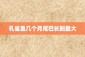 孔雀鱼几个月尾巴长到最大