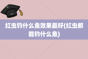 红虫钓什么鱼效果最好(红虫都能钓什么鱼)