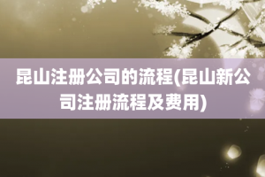 昆山注册公司的流程(昆山新公司注册流程及费用)