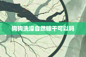 狗狗洗澡自然晾干可以吗