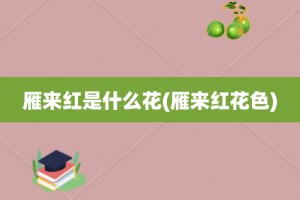 雁来红是什么花(雁来红花色)