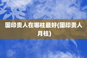 国印贵人在哪柱最好(国印贵人 月柱)