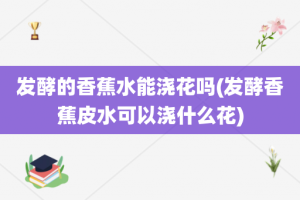 发酵的香蕉水能浇花吗(发酵香蕉皮水可以浇什么花)