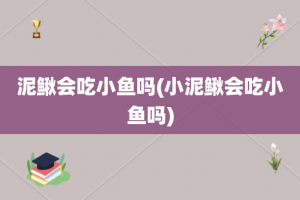 泥鳅会吃小鱼吗(小泥鳅会吃小鱼吗)