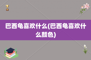 巴西龟喜欢什么(巴西龟喜欢什么颜色)