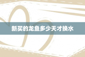 新买的龙鱼多少天才换水