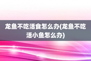 龙鱼不吃活食怎么办(龙鱼不吃活小鱼怎么办)