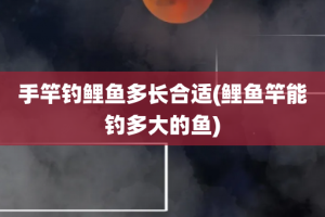 手竿钓鲤鱼多长合适(鲤鱼竿能钓多大的鱼)