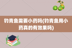 钓青鱼需要小药吗(钓青鱼用小药真的有效果吗)