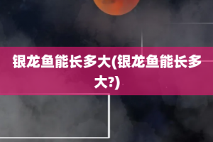 银龙鱼能长多大(银龙鱼能长多大?)