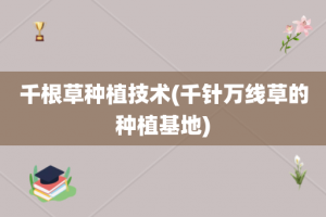 千根草种植技术(千针万线草的种植基地)