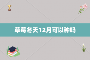 草莓冬天12月可以种吗