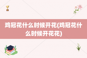 鸡冠花什么时候开花(鸡冠花什么时候开花花)