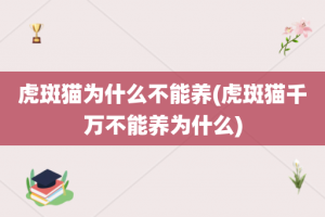 虎斑猫为什么不能养(虎斑猫千万不能养为什么)