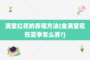 满堂红花的养殖方法(金满堂花在夏季怎么养?)