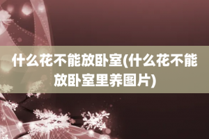 什么花不能放卧室(什么花不能放卧室里养图片)