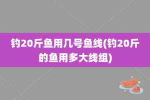 钓20斤鱼用几号鱼线(钓20斤的鱼用多大线组)