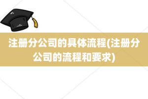 注册分公司的具体流程(注册分公司的流程和要求)