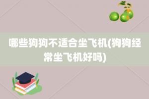 哪些狗狗不适合坐飞机(狗狗经常坐飞机好吗)