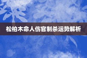 松柏木命人伤官制杀运势解析